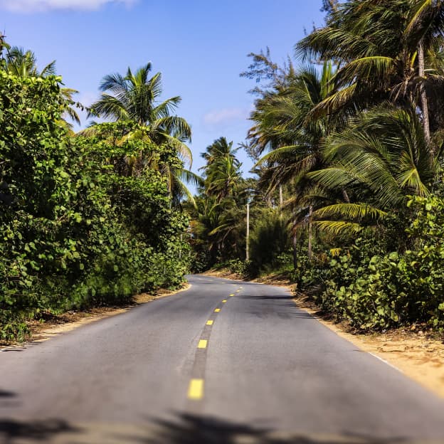 Puerto Rico landscape