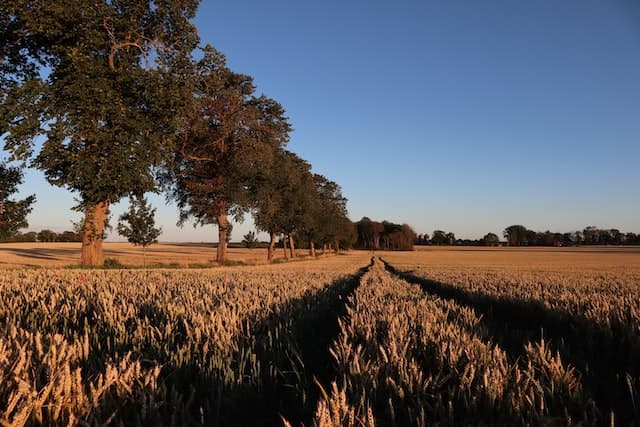 Östergötlands län landscape