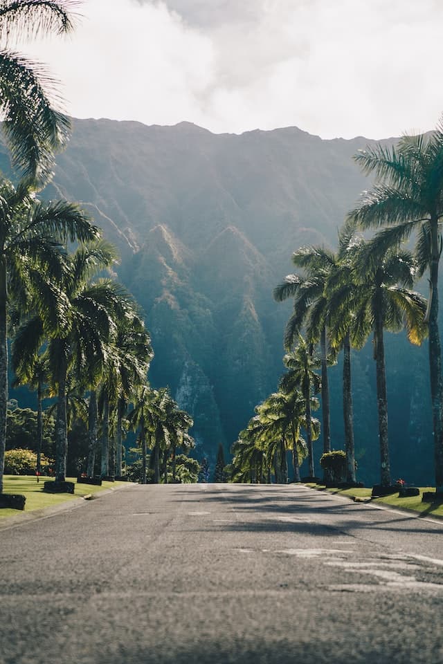 Hawaii landscape