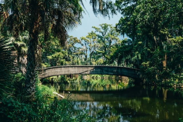 Louisiana landscape