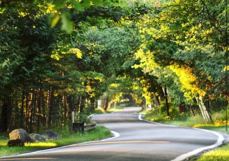 Michigan landscape