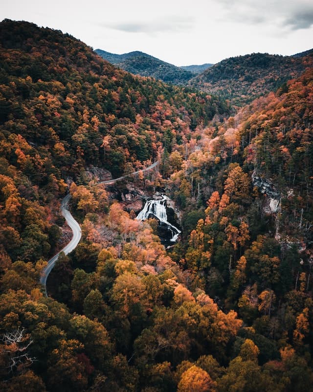 North Carolina landscape