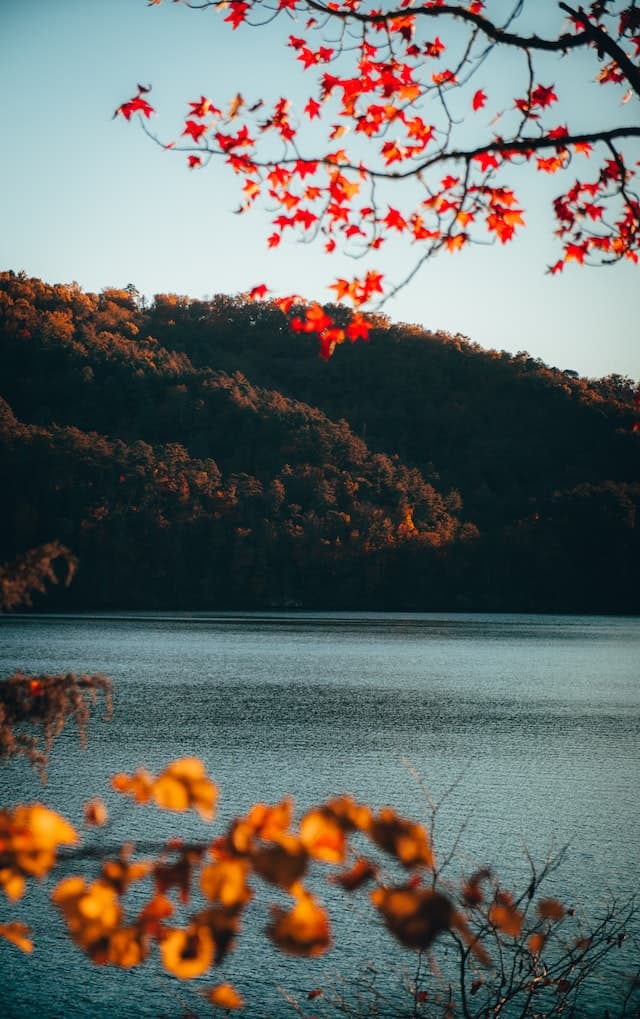 Tennessee landscape