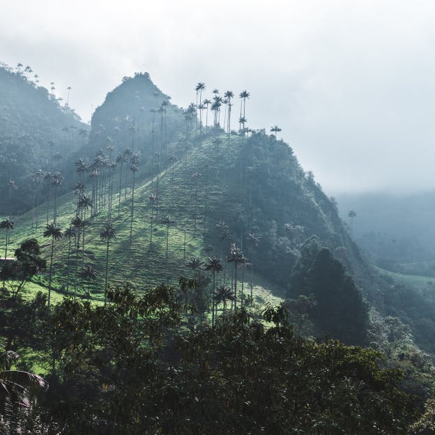 Colombia landscape