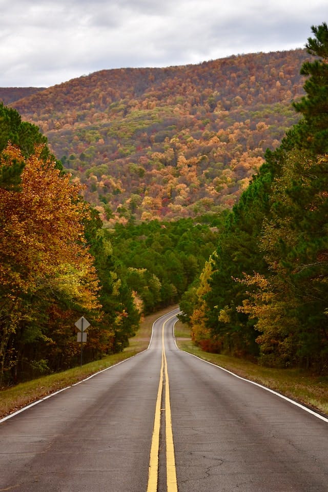Arkansas landscape