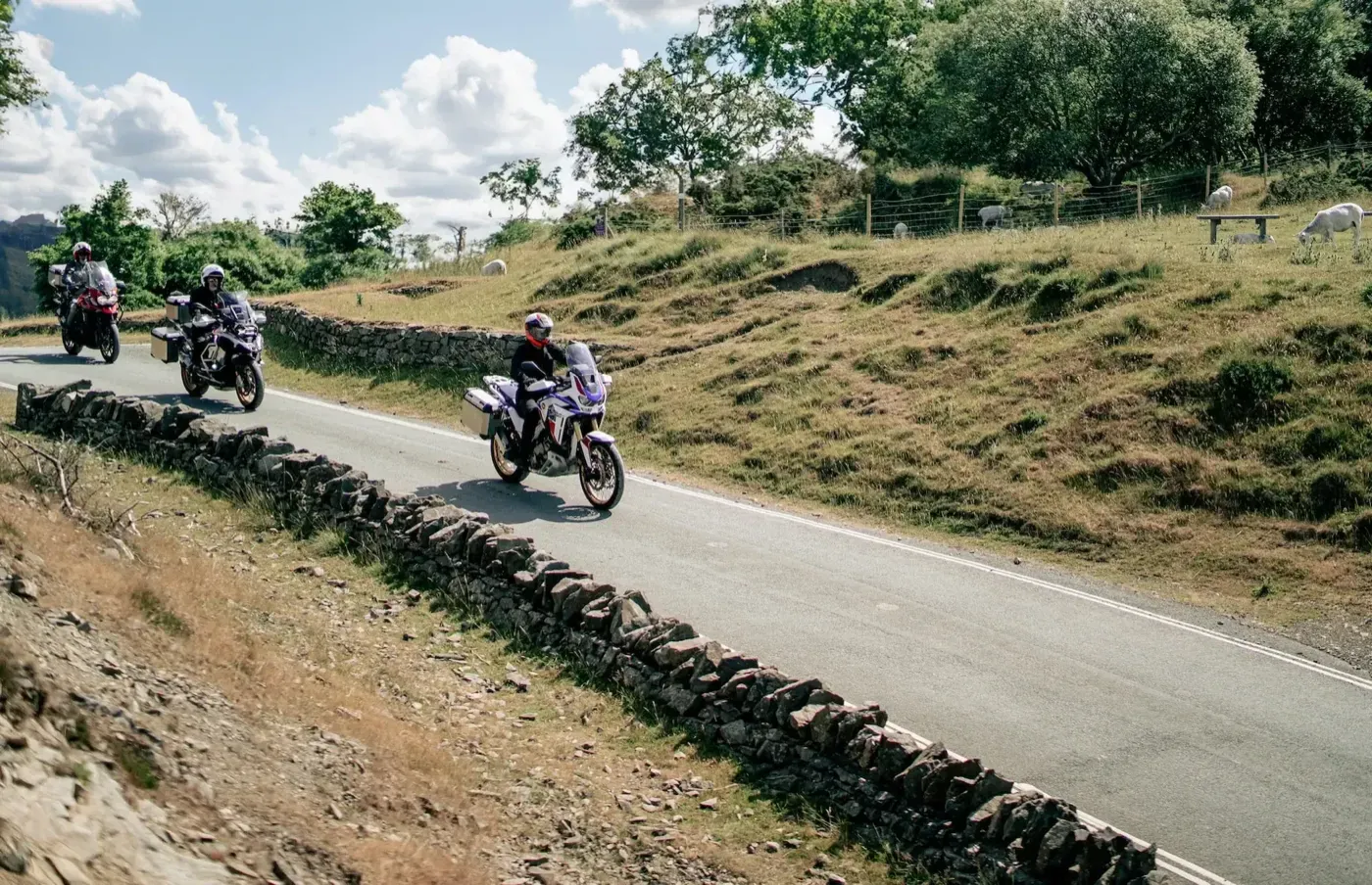 Three riders on adventure motorcycles with panniers on a country road beside a stone wall and grazing sheep.